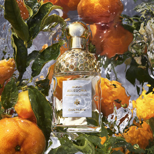 Aqua Allegoria Mandarine Basilic Set - Eau de Toilette Aqua Allegoria Mandarine Basilic Set - Eau de Toilette